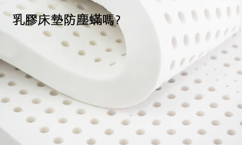 乳膠床墊防塵蟎