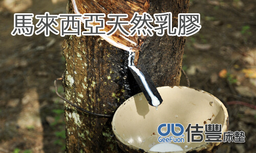 天然乳膠床墊